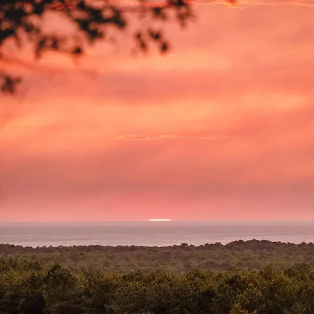 Maison De Petite Piscine Ferienhaus Tarnos